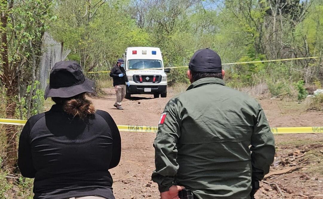 El 26 de diciembre se reportó el hallazgo de 5 cuerpos con huellas de tortura en la sindicatura de Costa Rica, al sur de Culiacán, Sinaloa. Foto: Especial (26/12/2024)