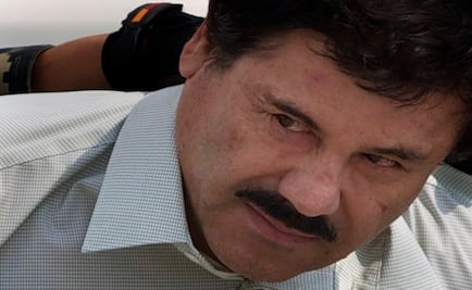 Botas, el chango de 'El Chapo', lo más leído