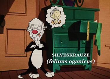 Acusan a Canal 22 de ser "transmisor de propaganda política”