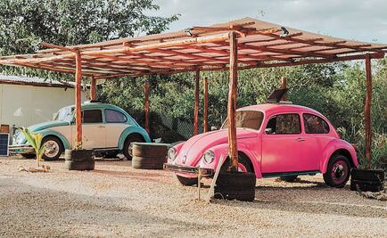 Mexico introduces eco-friendly hotel with 'beetle' rooms