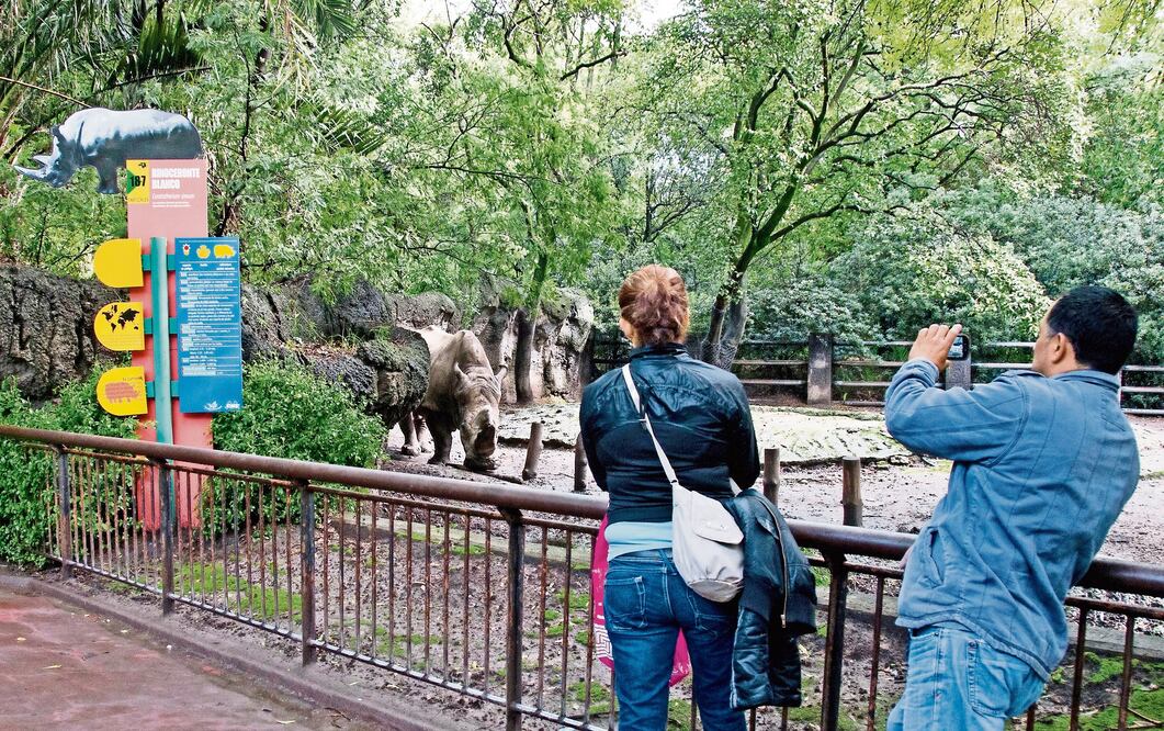 Foto: ARCHIVO. EL UNIVERSAL