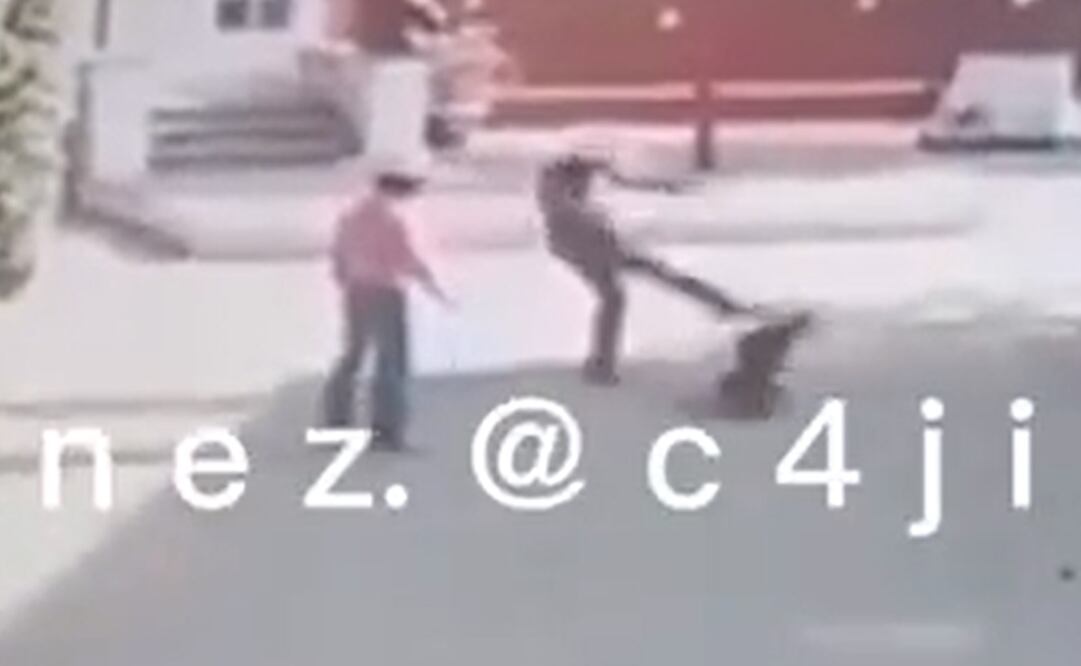 Mundo Patitas compartió un video donde se observa a dos perritos jugar a la pelota con un hombre y posteriormente muestran la imagen de un sello de la Fiscalía que muestra la hora de la denuncia. Foto: captura de video