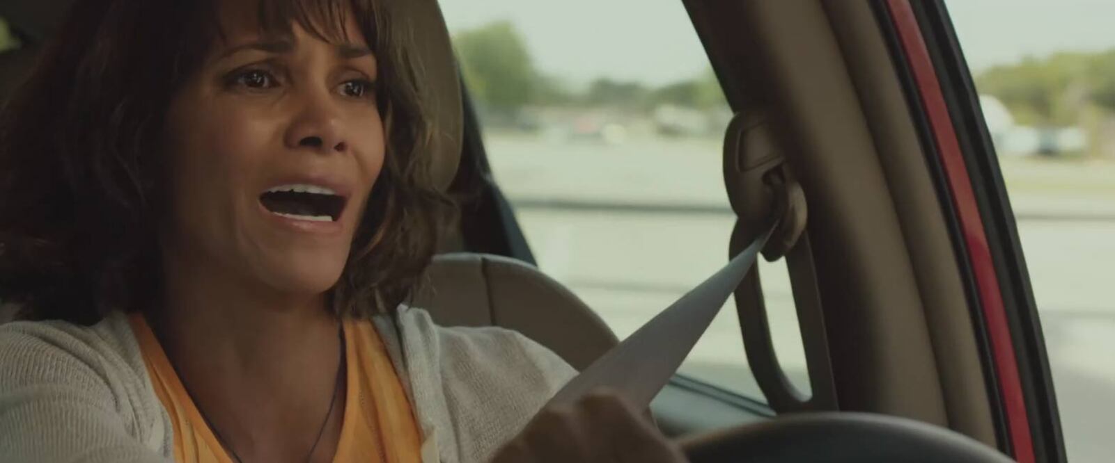 Mujer en llamas: aventuras en una "mamá-van"