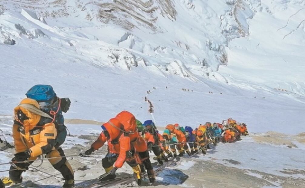 El Foco. Ven a disfrutar del menú fifí del Conacyt