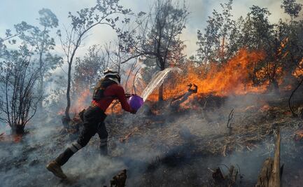 Declaran en emergencia a 5 municipios de Oaxaca por incendios forestales 