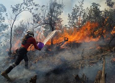 Declaran en emergencia a 5 municipios de Oaxaca por incendios forestales