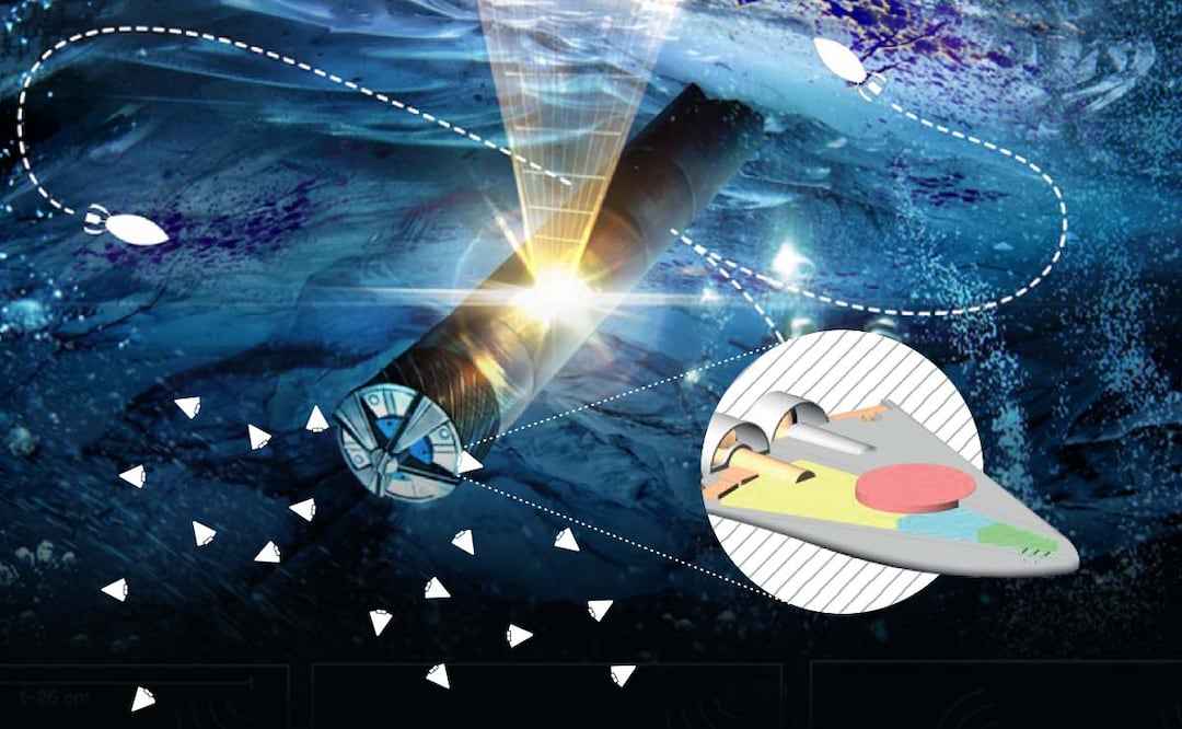 Pequeños robots nadadores