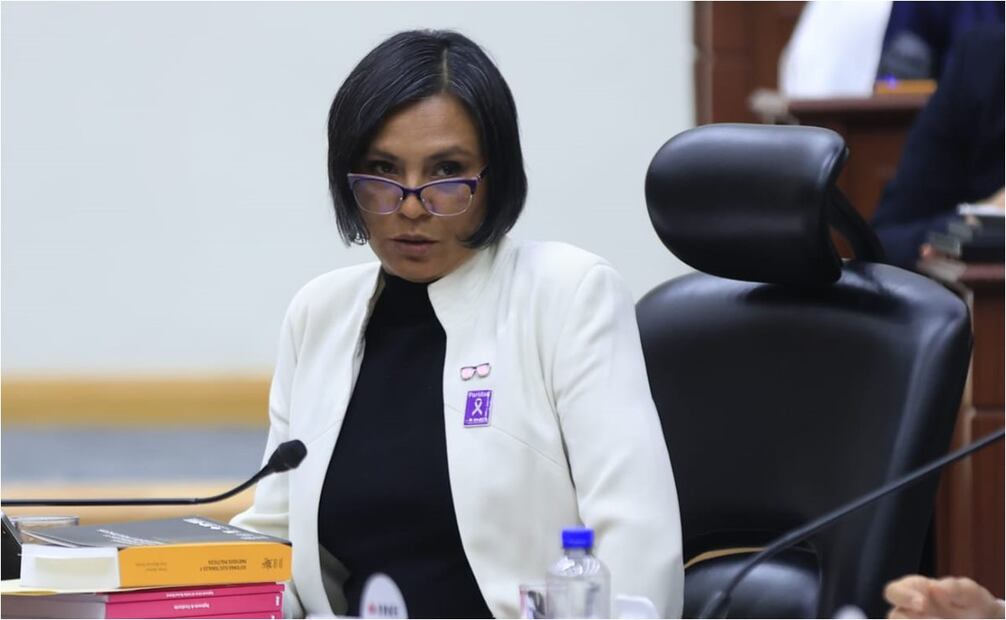 Norma Irene de la Cruz, consejera del INE. Foto: Fernanda Rojas/EL UNIVERSAL