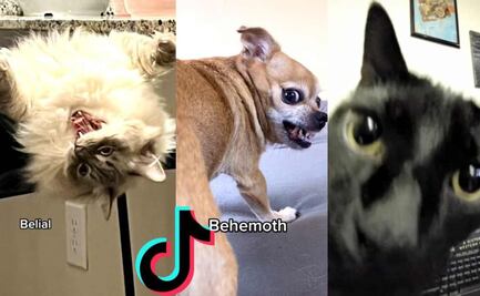 ¿Cuál es el origen del meme "Belial, Beelzebub" que es viral en TikTok?