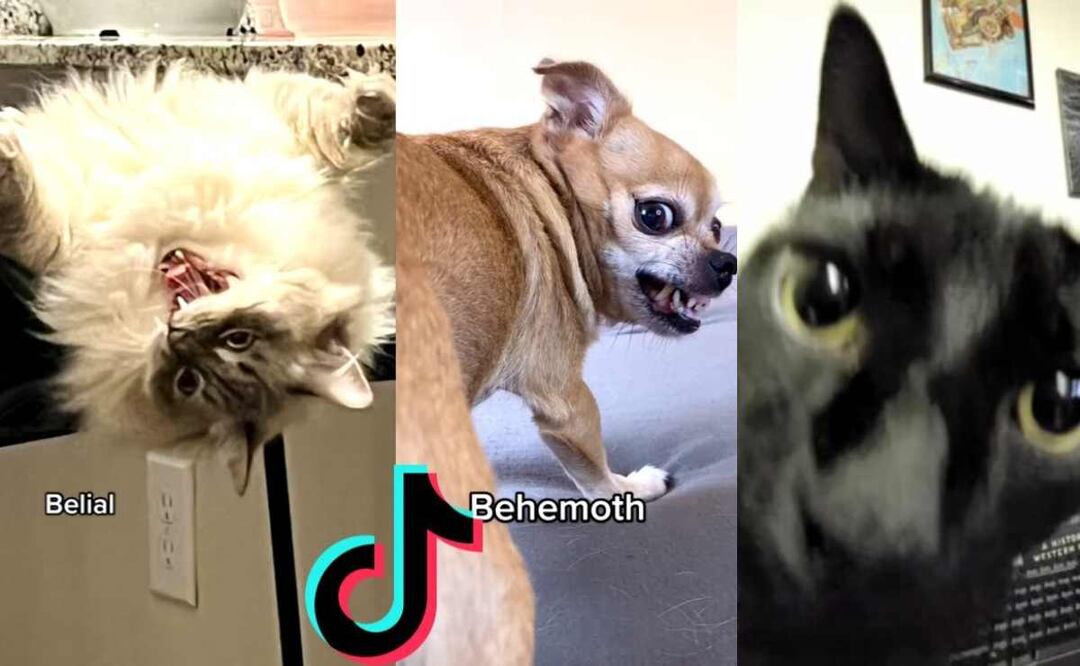 ¿Cuál es el origen del meme "Belial, Beelzebub" que es viral en TikTok?