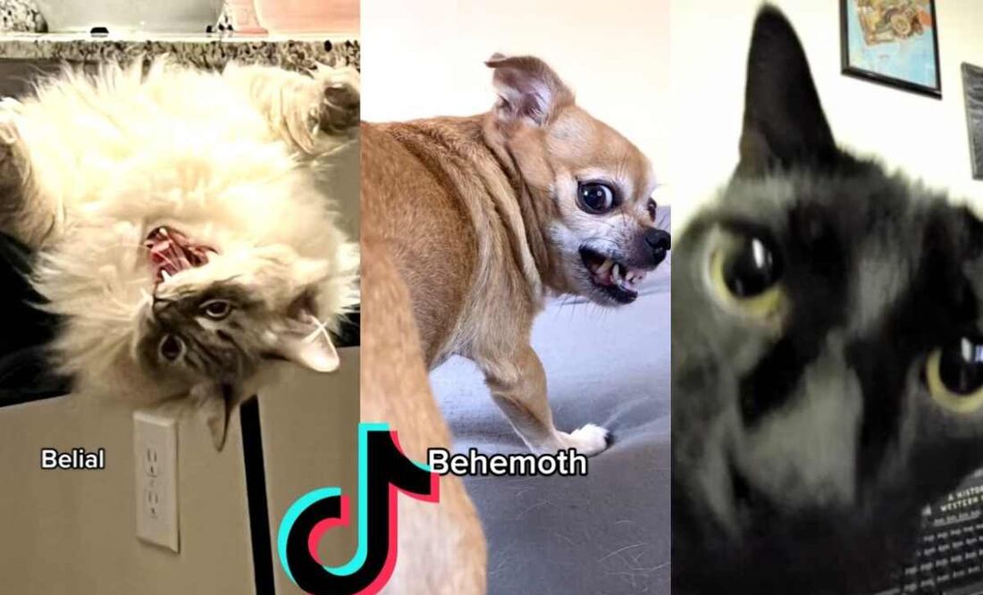 ¿Cuál es el origen del meme "Belial, Beelzebub" que es viral en TikTok?