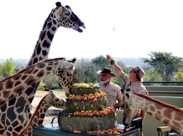 FOTOS: Así fue el encuentro de “Benito” con sus nuevos amigos en Puebla