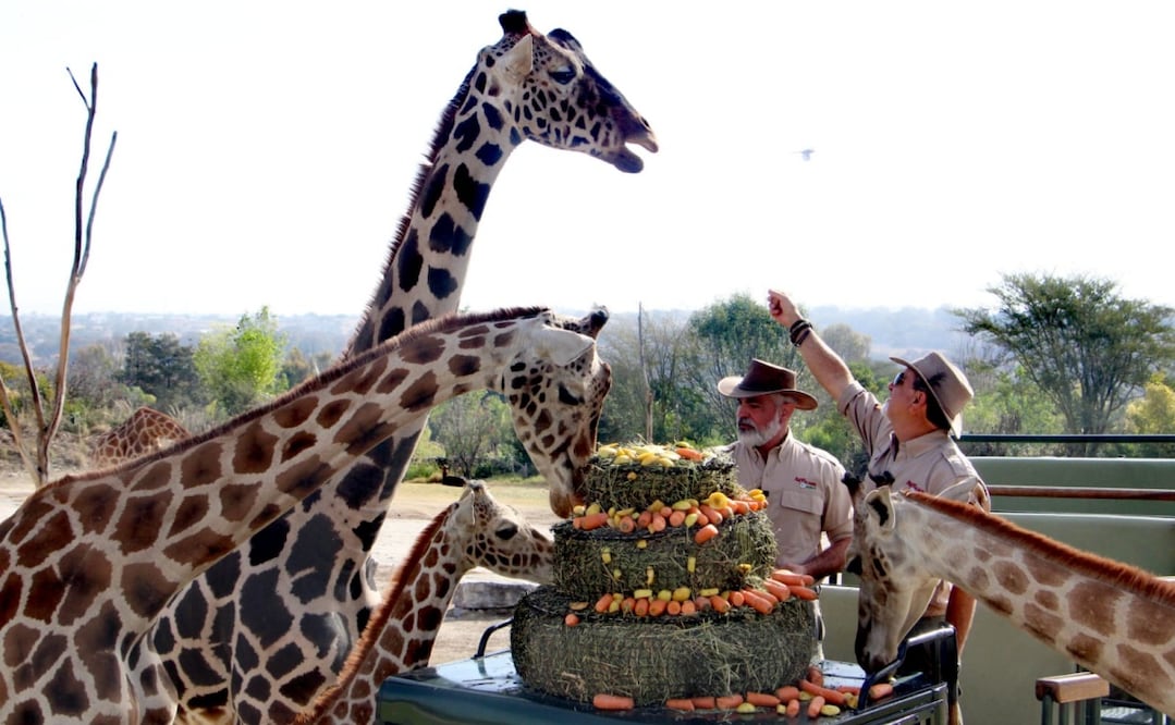 Foto: Omar Contreras / EL UNIVERSAL