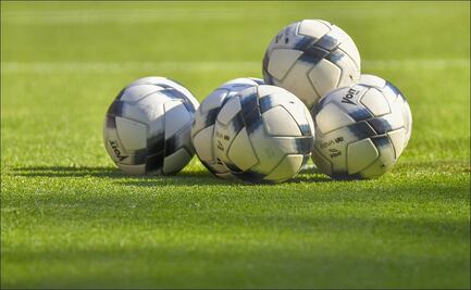 ¿Qué será de los seis equipos que quedaron eliminados en la Liga MX?