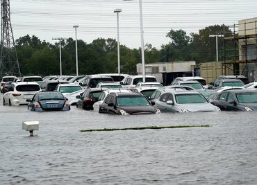 Museos de Texas reportan daños por "Harvey"