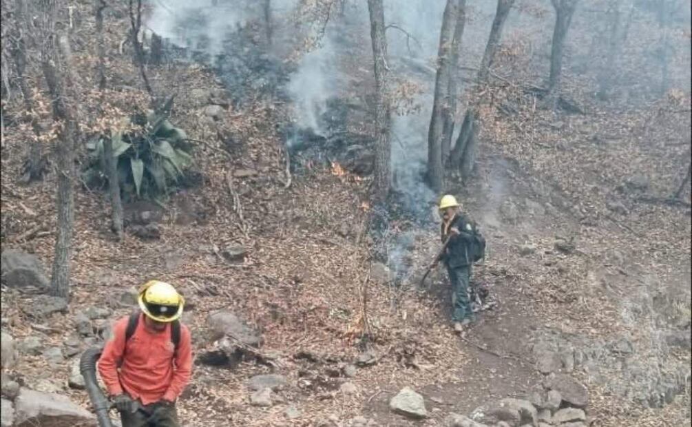 Los incendios forestales permanecen en al menos 3 municipios de Sonora (09/05/2025). Foto: Especial