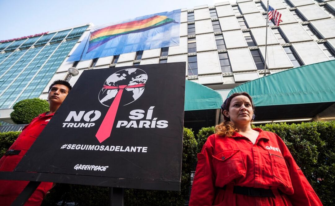 Cortesía / Greenpeace