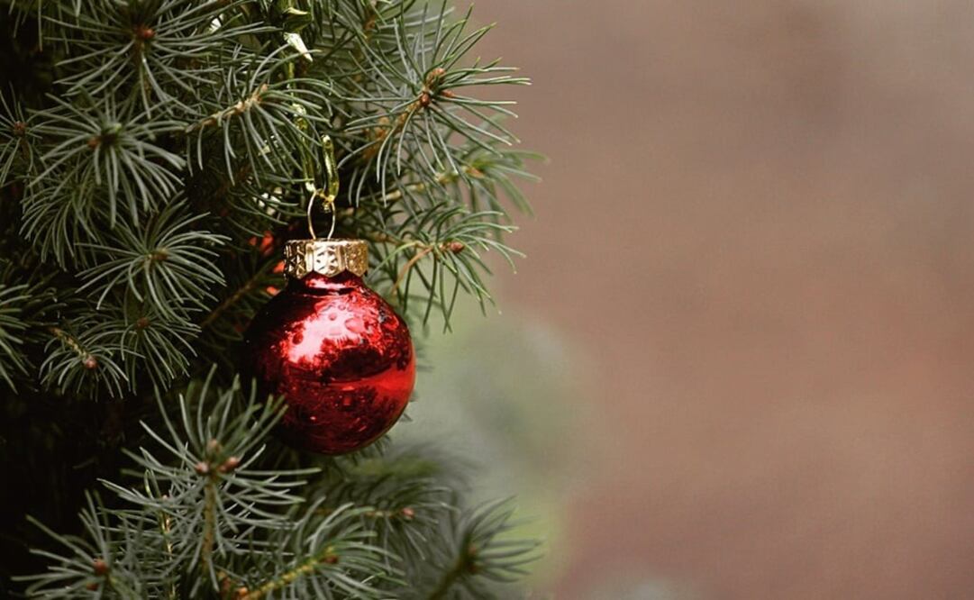 Foto: Ilustrativa. Pixabay