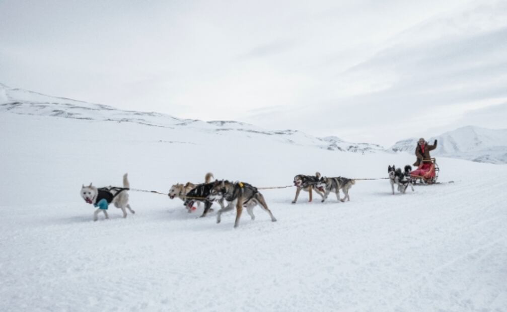 Mitos sobre Alaska que todos hemos creído alguna vez