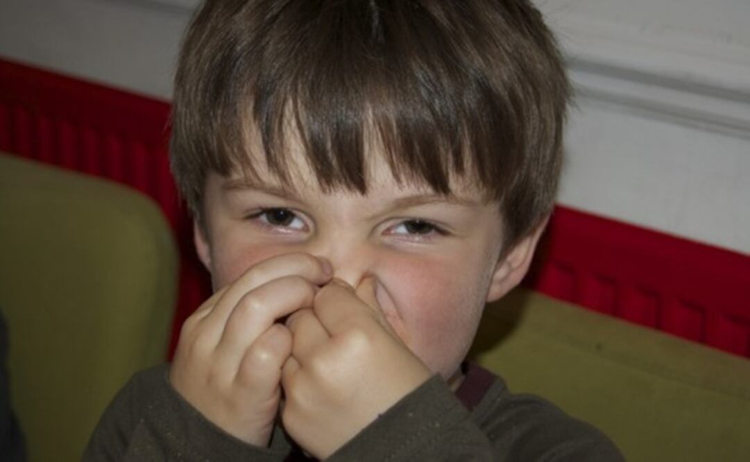  El estudio, publicado este miércoles en Royal Society Open Science, es el resultado de tres encuestas por internet. (FOTO: Especial)