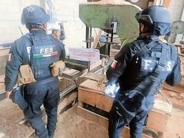 Aseguran predio donde procesaban madera ilegal