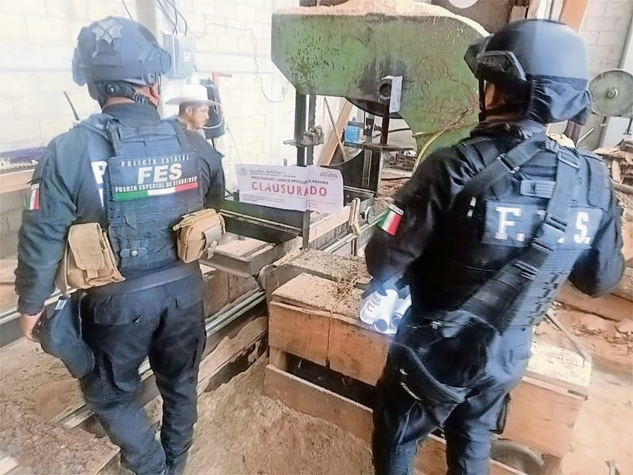 Además de la madera se aseguró maquinaria industrial. Foto: Especial