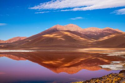 Por qué esta laguna de los Andes se pinta de rojo