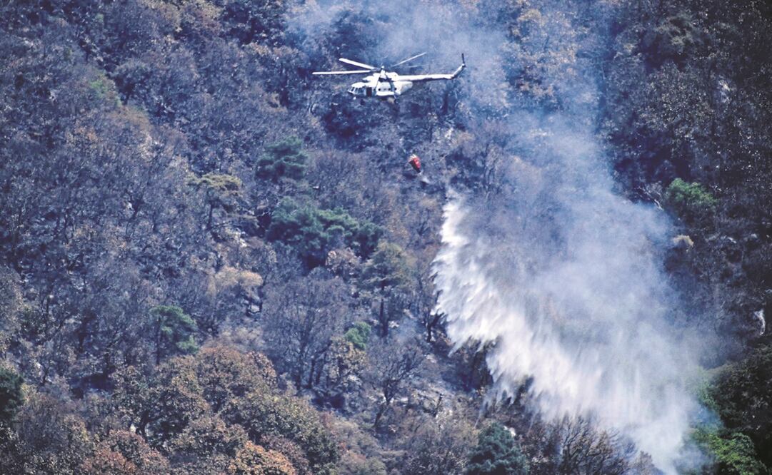 El incendio en el Tepozteco, presuntamente provocado por una persona, consumió 115 hectáreas de árboles, de acuerdo con la Coordinación de Protección Civil. Foto: AFP