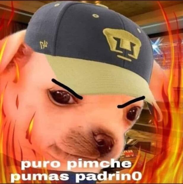 América es ridiculizado por los memes tras perder contra Pumas