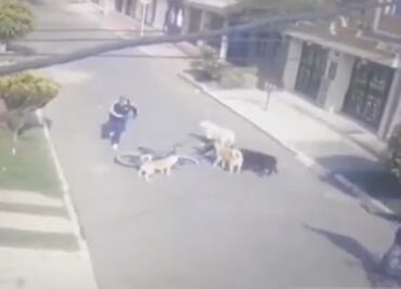 Cuidador de perros logra esquivar cinco tiros tras abatir un intento de asalto en Colombia