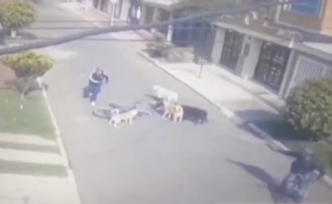 Momento en que el paseador esquiva las balas. Foto: Tomada del video 