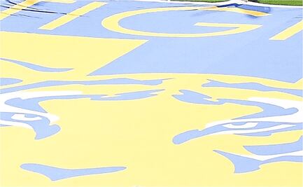 Casos de Covid-19 en Tigres, antes de viajar al Mundial de Clubes