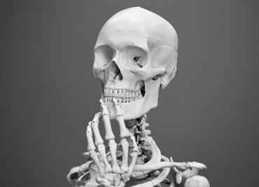 5 nutrientes esenciales para fortalecer los huesos durante la etapa de envejecimiento