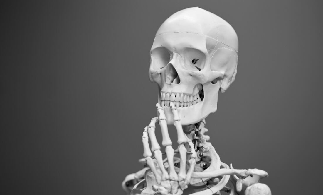 Huesos | Fuente: Unsplash (Mathew Schwartz)