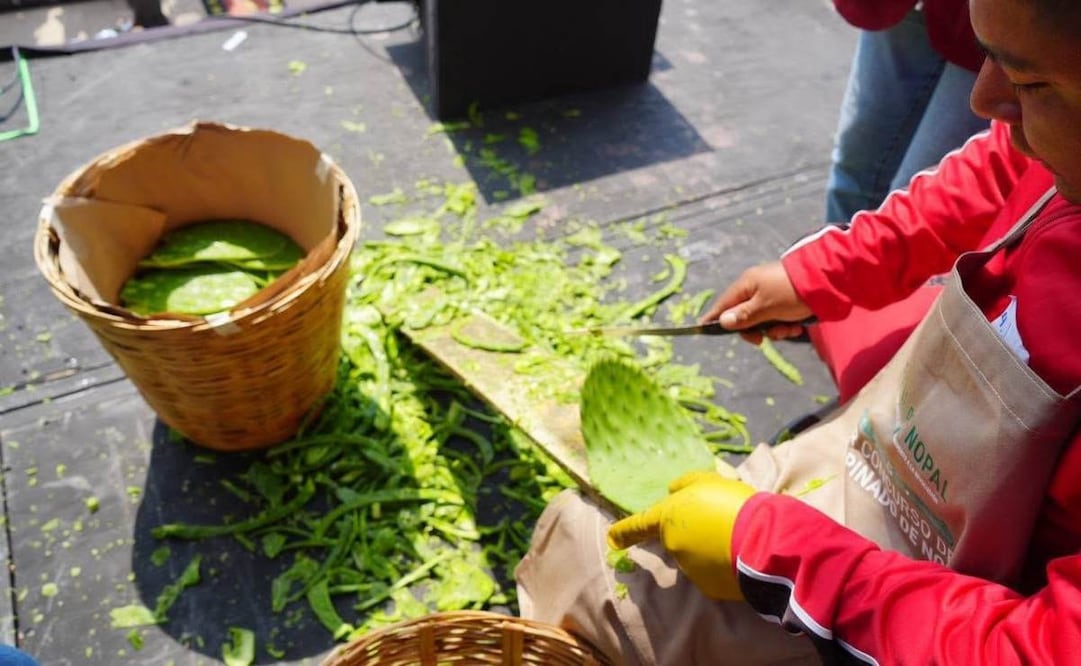 Preparan Concurso de Desespinado de Nopal en el Monumento a la Revolución; ganará quien limpie 30 piezas más rápido.
Foto: Especial.
