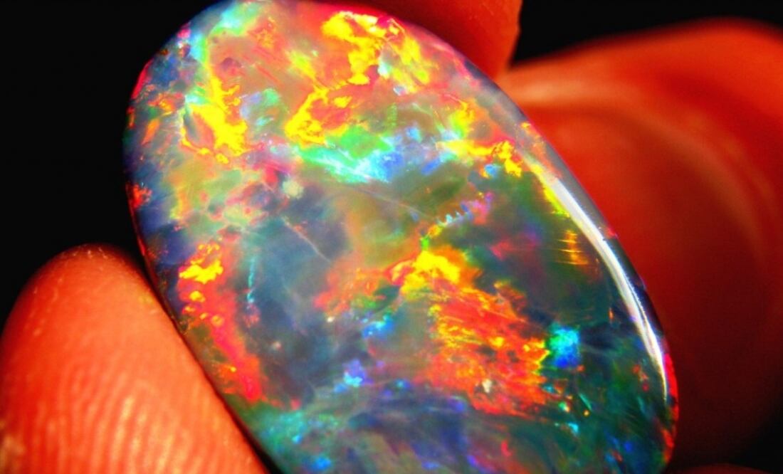 Imagen referencial. (FOTO: Archivo/EL UNIVERSAL)