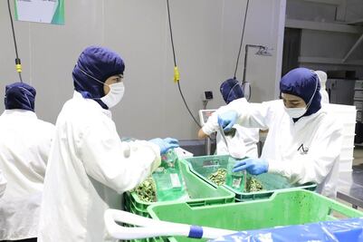 Gobernador de Aguascalientes verifica que empresas se apeguen a medidas de higiene ante Covid-19