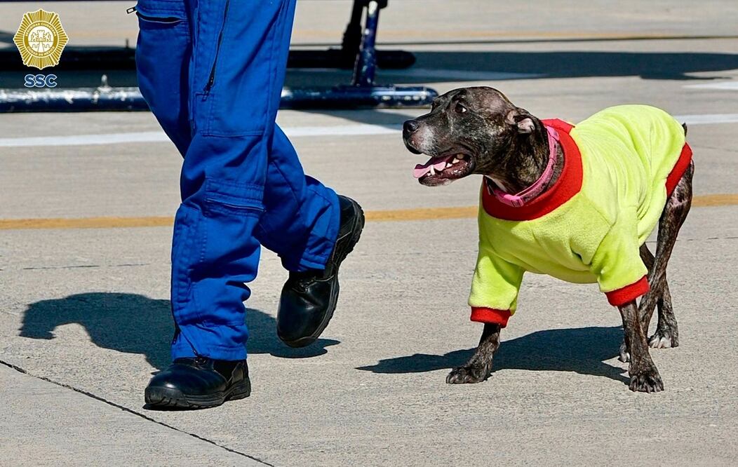 Saludo a todos pese al dolor se sus lesiones. FOTO: Especial/ EL UNIVERSAL/