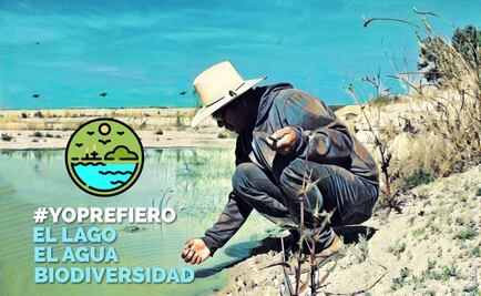 Lanzan campaña contra construcción de Nuevo Aeropuerto: “Yo prefiero el lago”