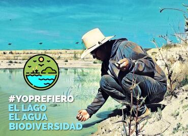 Lanzan campaña contra construcción de Nuevo Aeropuerto: “Yo prefiero el lago”