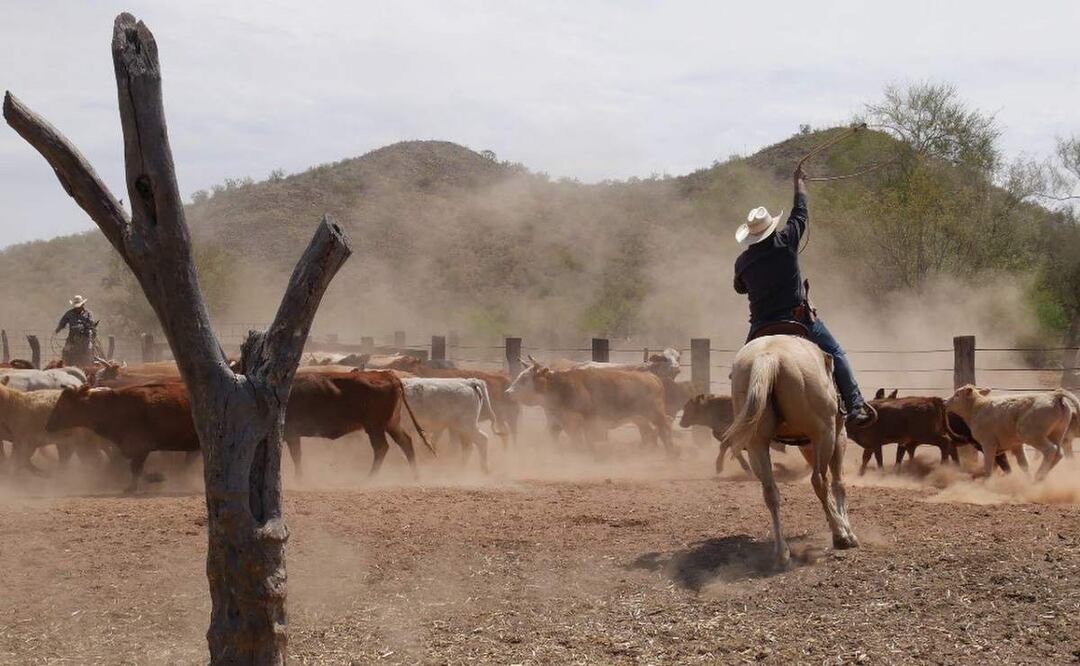 En la comunidad de La Ciénega en Sonora, desde el 2019, rancheros y pobladores fueron desplazados por células criminales (18/04/2025). Foto: Seguridad Pública Sonora