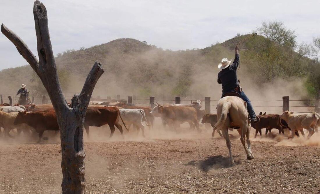 En la comunidad de La Ciénega en Sonora, desde el 2019, rancheros y pobladores fueron desplazados por células criminales (18/04/2025). Foto: Seguridad Pública Sonora