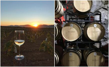 La sorprendente bodega de Monte Xanic 