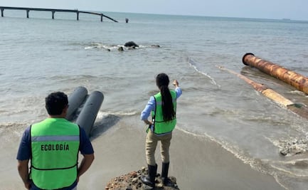 Pescadores denuncian nuevo derrame de hidrocarburo en La Ventosa, Oaxaca; contaminación afecta zonas de captura