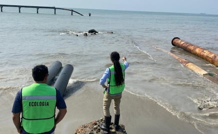 Pescadores denuncian nuevo derrame de hidrocarburo en La Ventosa, Oaxaca; contaminación afecta zonas de captura