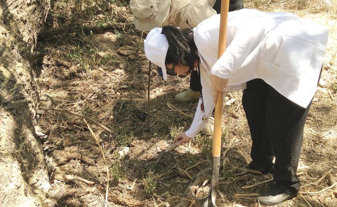 Foto: Archivo EL UNIVERSAL