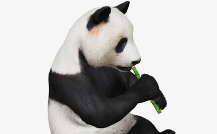 Cómo activar el sistema 3D de Google para tener un zoológico en casa 