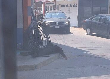 Por aumento de violencia, Embajada de EU en México emite alerta de viaje para Ocozocoautla, Chiapas