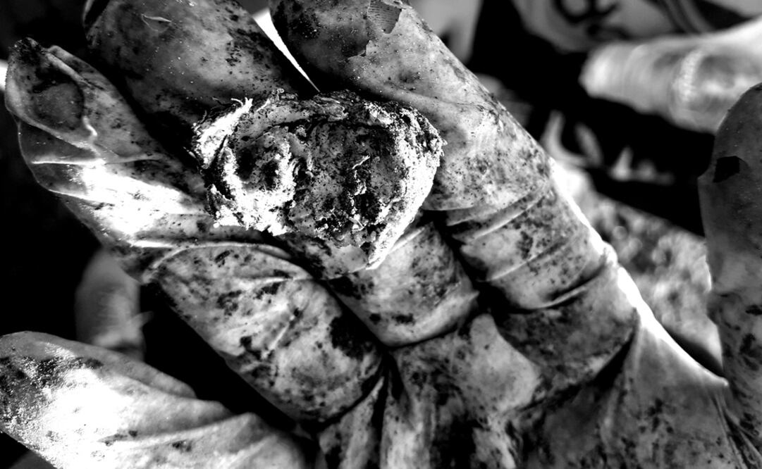 Foto: Alicia Pereda/EL UNIVERSAL