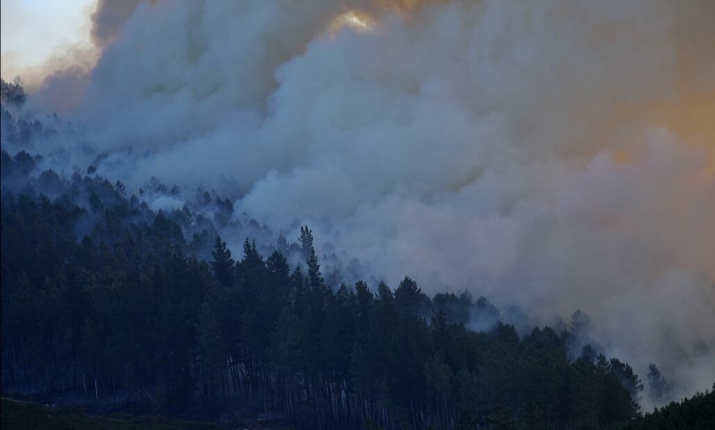 Columnas de humo del incendio de Pobra de Brollón-Quiroga se observan sobre el bosque, el 26 de agosto de 2025. Foto: EFE